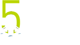 5 Step to ROI
